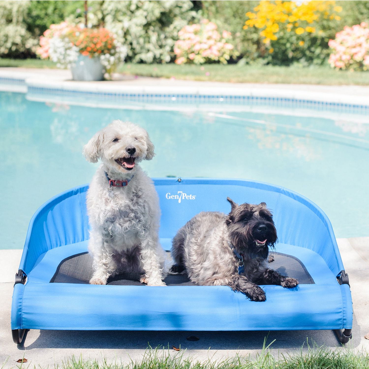 Lit pour animal domestique Cool-Air Cot de Gen7Pets, 76 cm (30 po)
