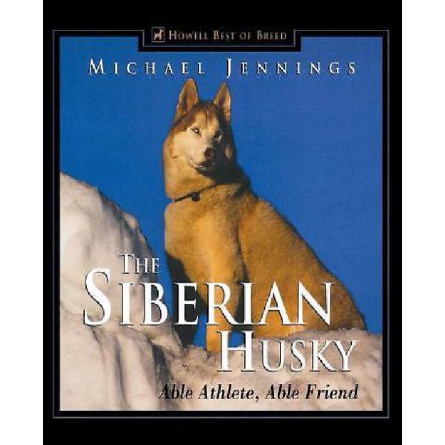 The Siberian Husky: Able Athlete, Able Friend