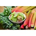 thumbnail image 3 of GSDWIUEW Seeds Rhubarb Victoria 35 Days Garden Heiroom Vegetable for Planting, 3 of 8