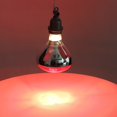 thumbnail image 5 of REK Livestock Heat Lamp Farm Animal Warming Light For Piglets/Chicks/Lambs Brooder Bulb With Ceramic Socket (250W), 5 of 5