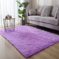 thumbnail image 1 of TNDBKQWR Carpet for Room Bedroom Carpet Carpet Bedroom Area Rug Runner Soft Fluffy Area Rug Fluffy Rug Rugs Clearance, 160x80cm, 1 of 4