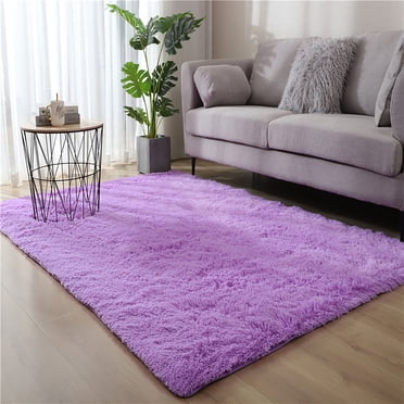 Meitianfacai Super Soft Solid Color Area Rugs for Living Room Anti-Slip Washable Shaggy Area Rug, Square Carpet for Living Room Dining Room Home Bedroom Carpet Floor Decor Mat,31.5x78.7inch