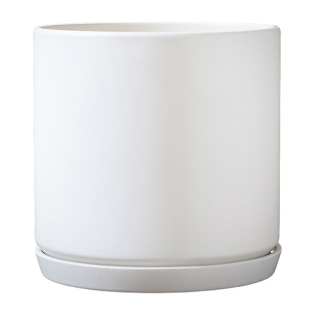 Wweixi Indoor Flower Pots - Elegant And Practical Available In Multiple Colors And Can Be Selected TX white M 1Set