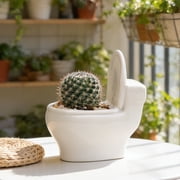 Toilet Shaped Ceramic Succulent Planter with Drainage Hole - Novelty Desktop Plant Pot for Small Plants