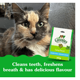 thumbnail image 4 of Feline Greenies Catnip Natural Dental Cat Treats, 4 of 13