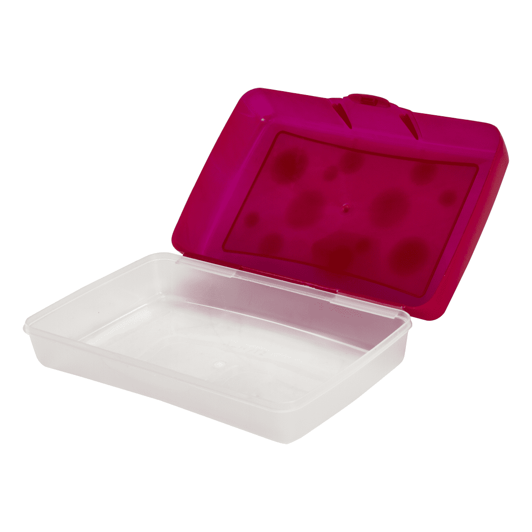 Storex Standard Plastic Pencil Box for Elementary School, 8.4 x 5.6 x 2.5 in, Red, 1 Count