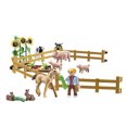 thumbnail image 3 of Playmobil Animaux de la Campagne9316, 3 of 4