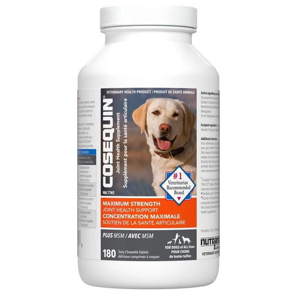 Cosequin DS Maximum Strength Plus MSM Joint Health Supplément pour Chiens, Lot de 180
