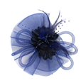 thumbnail image 1 of Kcodviy Women Wedding Mesh Hat Washable Hat Fascinator Penny Ribbons and Mountain Baseball Cap Feathers Party, 1 of 2