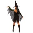 thumbnail image 2 of Women's Miss Enchantment Adult Costume, 2 of 2