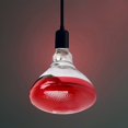 thumbnail image 5 of REK Livestock Heat Lamp Farm Animal Warming Light For Piglets/Chicks/Lambs Brooder Bulb With Ceramic Socket (250W), 5 of 5