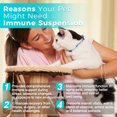 thumbnail image 2 of Welsdom Pets Supplément Liquide de Soutien Immunitaire - 60 ml / Stimulation Immunitaire Complète pour Chats et Chiens / Formule Riche en Antioxydants / Favorise la Digestion et la Récupération / Mélange Vétérinaire Facile à Administrer, 2 of 6