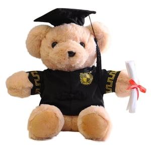 Graduation Teddy Bear Graduations Phd Ours Poupée en peluche d'ours Mini Ours en peluche