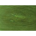 thumbnail image 1 of Ahgly Company Tapis d'Intérieur Rectangulaire Transitionnel Vert Forêt Sombre Lavable à la Machine, 5 Pieds x 8 Pieds, 1 of 7