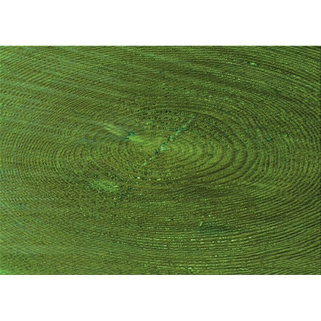 Ahgly Company Tapis d'Intérieur Rectangulaire Transitionnel Vert Forêt Sombre Lavable à la Machine, 5 Pieds x 8 Pieds