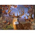 thumbnail image 2 of Cobble Hill - Casse-Tête de 1000 Pcs (Cerf et Faisan), 2 of 2