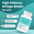 thumbnail image 2 of Nutrawave Ginkgo Biloba 12,000 mg (50:1 Extract) – Memory & Cognitive Support, Standardized 24% Flavone Glycosides, 90 Vegan Capsules, Non-GMO, Gluten-Free, Made in Canada, 2 of 11
