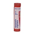 thumbnail image 3 of Boiron Hamamelis Virginiana 30CH / Médicament Homéopathique / Tube Multi-Dose 4g (80 Granules), 3 of 4