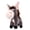 A, variant on XFGOU Plush Doll Toys and Hobbies Funny Cartoon Teething Donkey Plush Toys Are Suitable As Birthday Gifts For Friends And Classmates Plush toy