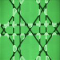 thumbnail image 1 of Ahgly Tapis d'Intérieur Lavable en Machine Carré Transitionnel Vert Néon, 6 Pieds Carré, 1 of 7
