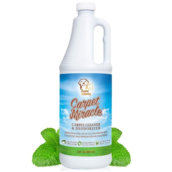 Carpet Miracle - Concentrated Machine Shampoo, Deep Stain and Odor Remover Solution, Deodorizing Formula (32FL OZ) 32FL OZ 32FL OZ