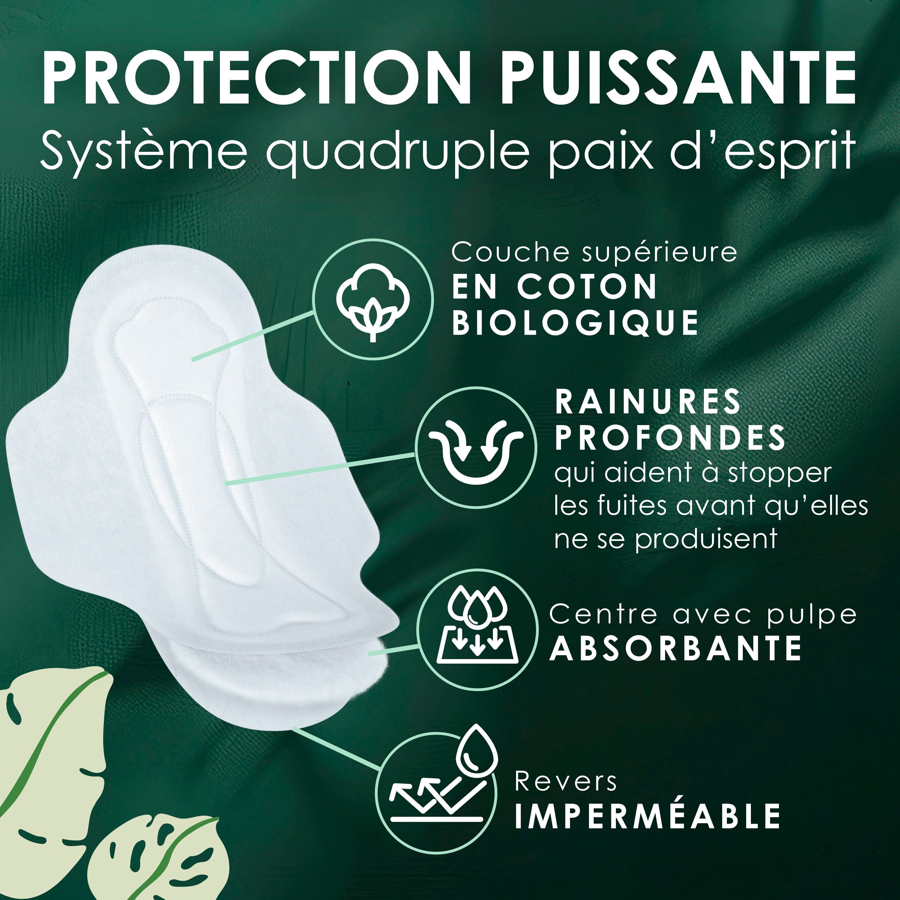 L. Serviettes Ultra-Minces pour Femmes, Voile Supérieur en Coton Biologique, Absorption de Nuit, Serviettes Menstruelles avec Ailes 36 Unités