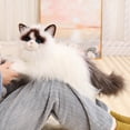 thumbnail image 1 of QIPOPIQ Animaux de Compagnie Chat, Animaux en Peluche Pondérés Faits à la Main, Jouet en Peluche Chat, Poupée Chiffon Chat, 1 of 9