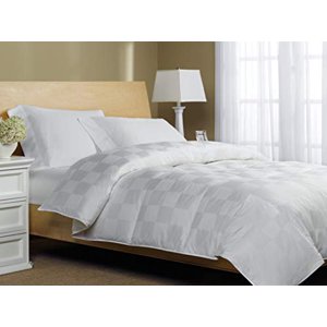 Blue Ridge Home Fashions, Inc. 1000 Euro Check Down Fiber King in White Color Down/Down Down/Down Blend Comforter,