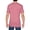 Plumrose, variant on Gildan Mens Softstyle CVC T-Shirt, S, Plumrose