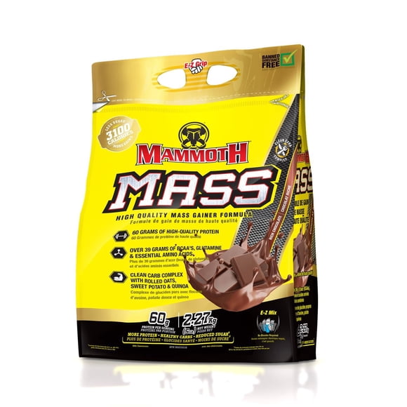 Mammoth Mass Rich Chocolate 5lb