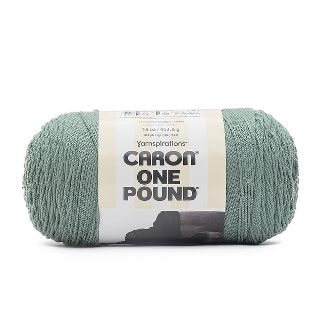 Fil Caron® One Pound™ en Vert Sauge, Acrylique #4 Poids Moyen worsted, Écheveau de 16 oz (453,6 g) avec 812 Verges (742 m), Étiqueté avec les Détails de la Marque et du Produit, Convient aux Projets de Tricot et de crochet Incluant les Accessoires, les Vêtements et la Déco Maison.