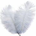 thumbnail image 2 of Ostrich Feather 30-35Cm Colorful Feather Decoration 102# Gray Grey Feather (1*Feather), 2 of 7