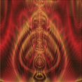 thumbnail image 1 of Ahgly Company Tapis d'Intérieur Lavable en Machine Carré Transitionnel Acajou Brun, 7 Pieds Carré, 1 of 7