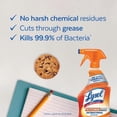 thumbnail image 2 of Lysol Antibacterial Kitchen Cleaner, Kitchen-Pro Power Degreaser, Unbeatable Grease Cutting, 650 mL, 2 of 4