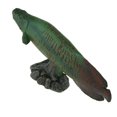 thumbnail image 3 of Realistic Static Ocean Animal Model Toys Ocean Toy Kids Gift Pirarucu with Base, 3 of 9