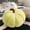 Light Green-LG-spring presents, variant on ABPWLY Pumpkin Pillow Cushions Decorative Pillow Sofa Bed Pillow Patio Furniture Cushions Seat Cushion Nap Pillow Car Pillow Clearance Pillows for Side Sleepers Canada Days Pillow Queen Pillows