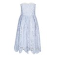 thumbnail image 4 of Gspmoly Robes d'Été pour Femmes, Robe de Fête Sans Manches en Dentelle Unie pour Femmes, Robes de Cocktail Économies, 4 of 6