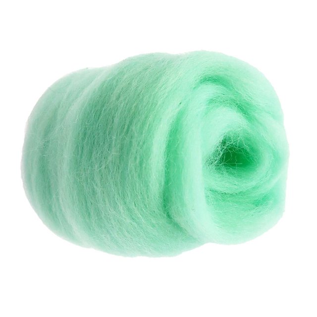 Wool Roving for Felting And ,10g, Fineness,18.5-26um - Light Light Green