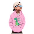thumbnail image 1 of WEAIXIMIUNG Chandails pour Garçons Col Rond Camion T-Shirt Dinosaure Manches Longues Chandail à Enfiler Hauts T-Shirts, 1 of 6