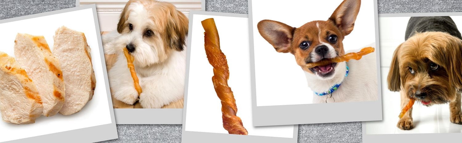 Hartz Oinkies Chicken Pig Skin Mini Twists Chew Dog Treats