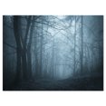 thumbnail image 2 of Ténèbres dans la Forêt avec Brouillard - Impression d'Art Photo de Paysage sur Toile, 2 of 3