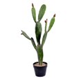 thumbnail image 1 of Vickerman FE191434 34 in. Green Potted Cactus Plastic Planter Pot, 1 of 3