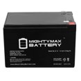 thumbnail image 3 of Batterie de Remplacement 12V 12AH SLA pour Rion - Lot de 4, 3 of 6