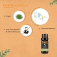 thumbnail image 3 of KRIAA Goodness Lemongrass Essential Oil 10ml with Dropper, 3 of 6