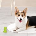 thumbnail image 2 of Indestructible Dog Toys - Super Chewer Toys for Medium/Large Dogs, TPR Material, Interactive Gift, 2 of 4