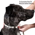 thumbnail image 4 of Classic dog collar, adjustable dog collar with sturdy metal clasp,, 4 of 5
