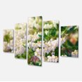 thumbnail image 2 of Belles Fleurs Blanches en Fleurs - Impression sur Toile Florale, 2 of 3