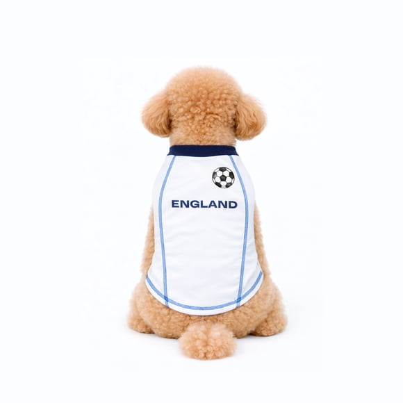 One Paw, England Soccer Jersey, Multiple Teams and Sizes, Dog Team Shirt, Light Blue, Unisex, Short Shirt, for Dogs, L