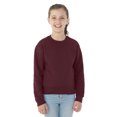 thumbnail image 1 of Jerzees Chandail en Molleton Col Rond pour Jeunes, m, Marron, 1 of 5