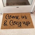thumbnail image 2 of 16x24 Inch Anti-Slip Mat Backing Coir Doormat Home Décor Doormat Entrance Funny Door Mat Rug Summer Door Rug Funny Welcome Mats Outdoor Perfect for Front Door and Entryway Outdoor and Indoor, 2 of 5